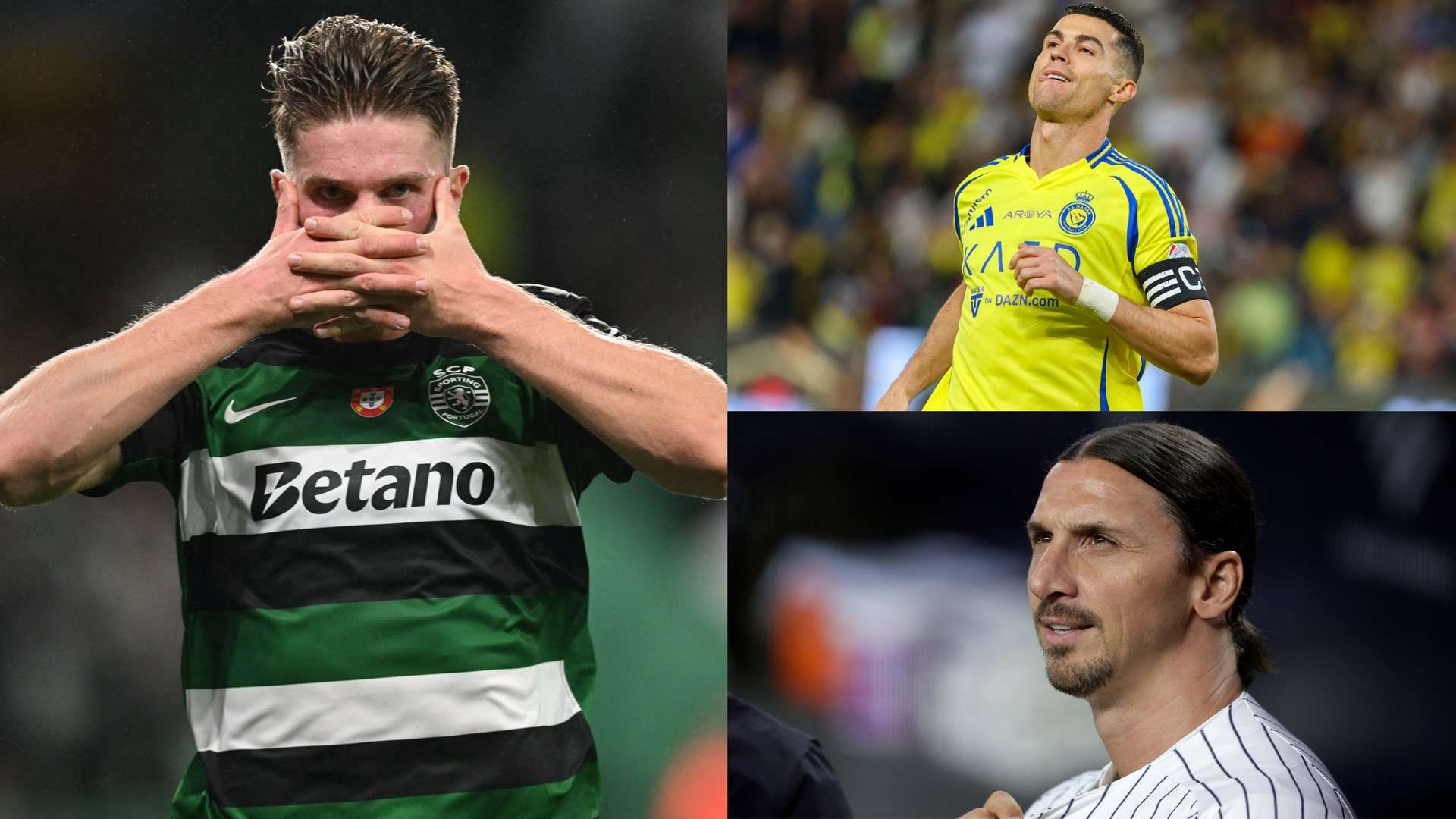 行业中的地 行业中的地