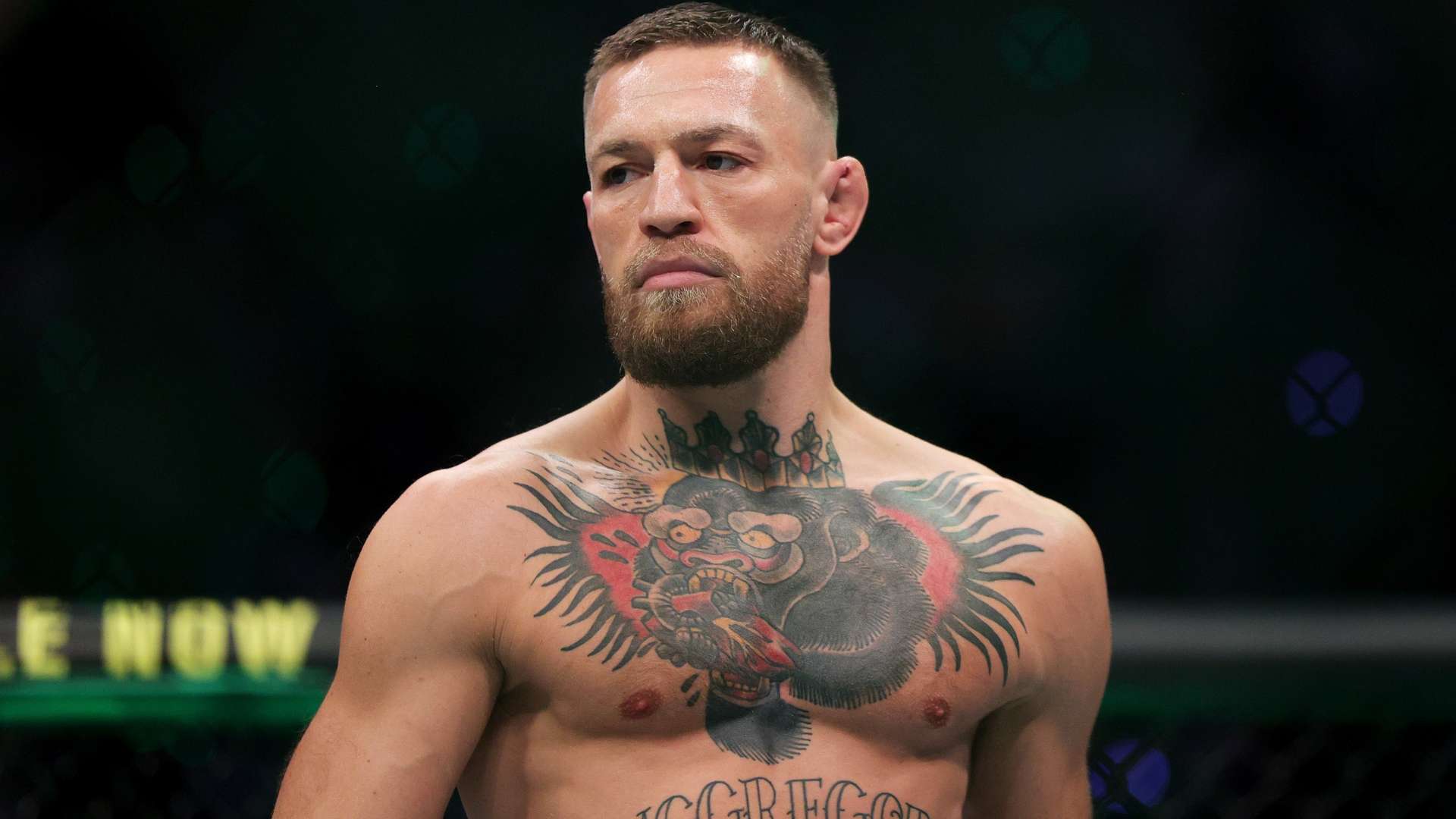 赢得了欧洲 赢得了欧洲